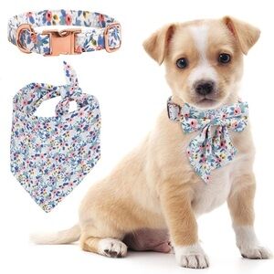 Dog Puppy Bow Floral Adjustable Detachable Collar Bandana Bone Shape Tag S/M NEW